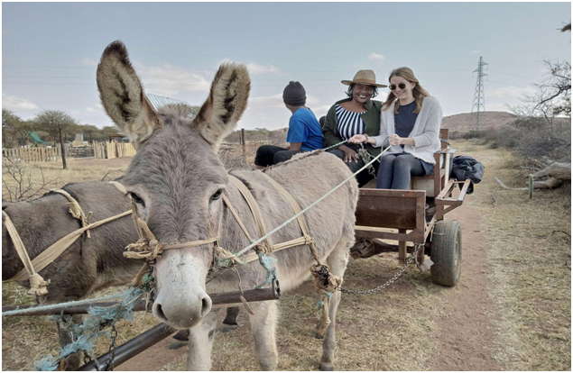 Authentic Botswana Tours picture of donkeycart