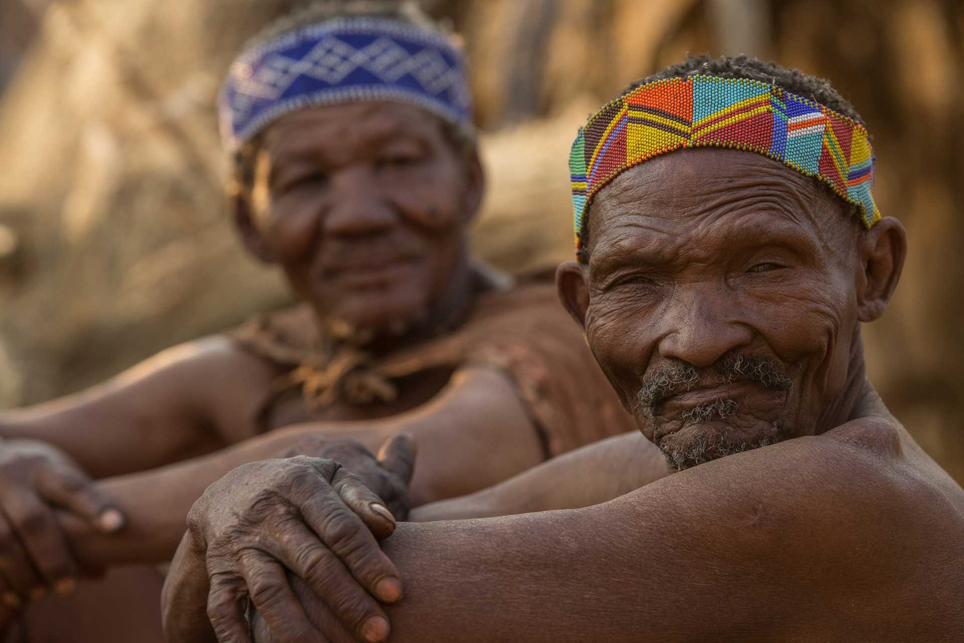 Fly-In Wildlife Photography