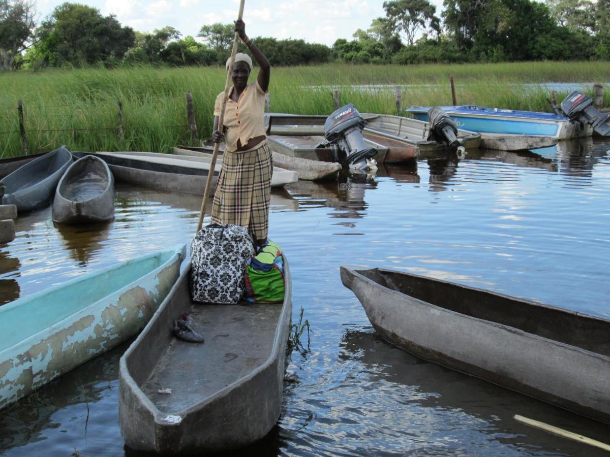 Game drives and canoe excursions into the Okavango Delta can be organized